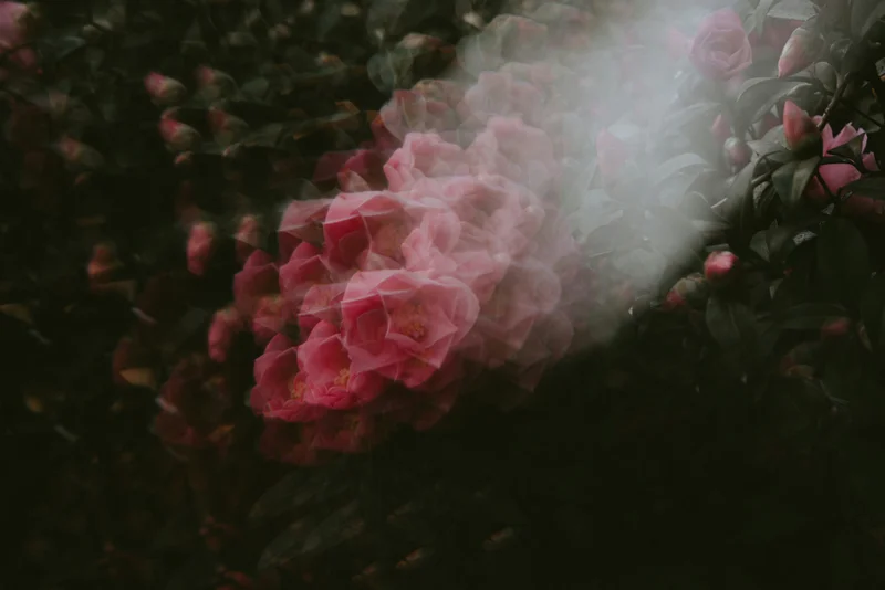 Grafica scura e calma con testo